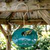 Hanging Hummingbird Feeder Garden Bird Feeder with 5 Feeding Ports Removable Lid Hummingbird Feeder for Patio Backyard