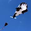 3d New Black Cartoon Whale Framele Software Kite Single Line String Bechwith