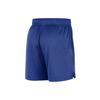 Nike NBA Golden State Warriors Letter Print Mesh Basketball Shorts Men shorts Light-Blue White FB3728-495