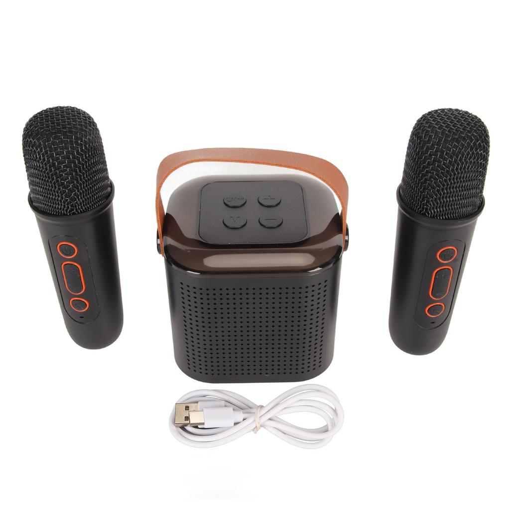 Mini Karaoke Machine Stereo Portable RGB Light Bluetooth Speaker with 2 Wireless Microphone for