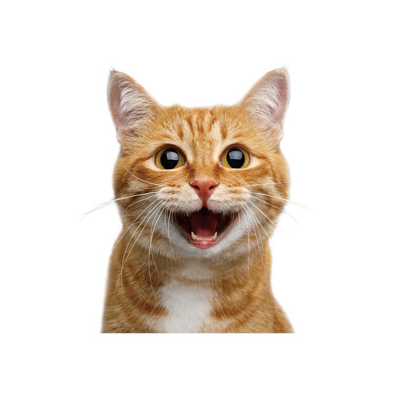 

Милые наклейки с котами Самоклеящиеся Декор для кухонной двери холодильника Шкафчика в ванной Комнате Наклейки для ремонта дома 30x30cm разноцветный