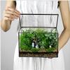Micro Rainforest Glass Terrarium for Succulent Plants
