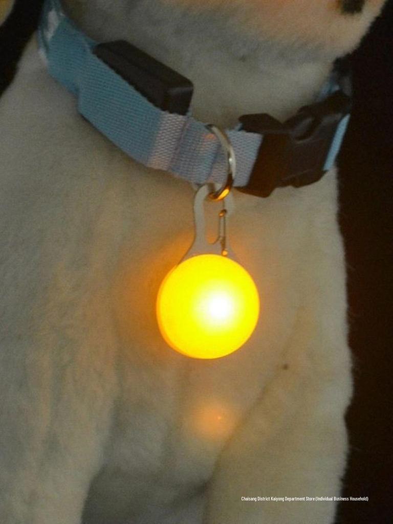 Glow-in-the-Dark Dog Pendant: Anti-Lost Battery-Powered Lightweight Pet Collar Light for Evening Walks
