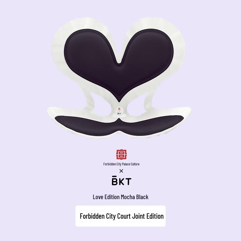 BKT Ergonomisches Lendenstützkissen