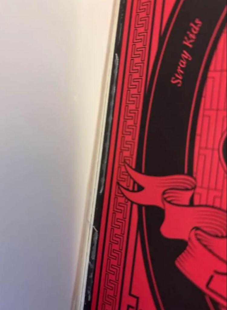 [USED] Stray Kids past albums bundled together