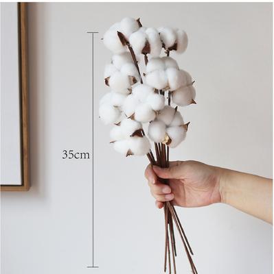 10 BUC Tulpini Naturale de Bumbac Uscat 15 inch Înălțime, Crenguțe Rustice de Bumbac Pentru Umpluturi de Vază, Aranjamente Florale Decorațiuni de Toamnă și Meșteșuguri DIY