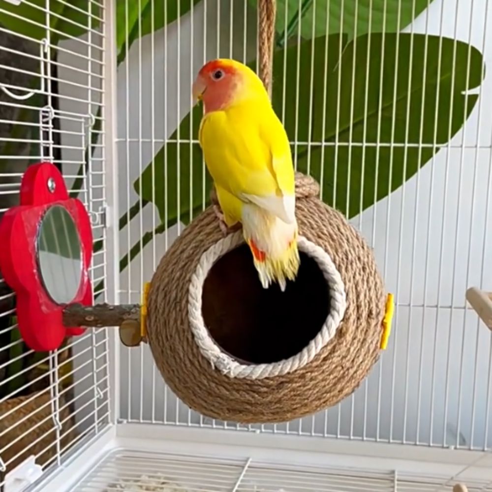 Bisssicheres Eichhörnchenbett Verschleißfestes Vogelhaus Niedliches Hamsterbett Papagei