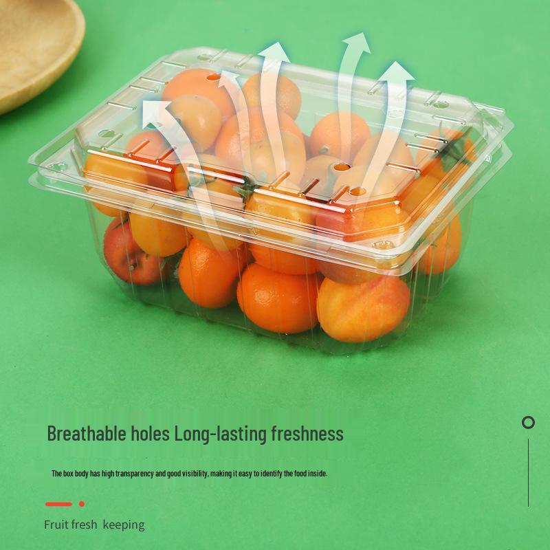 Clear Plastic Fruit & Veggie Box with Lid - Disposable and Thickened for Fresh Storage