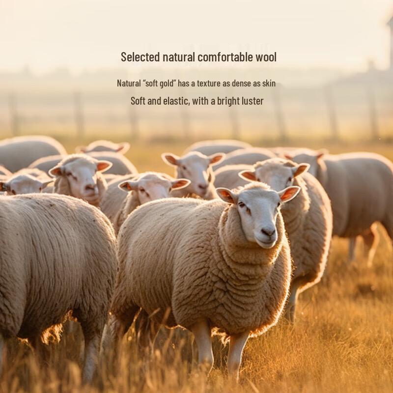 

Мужское короткое шерстяное пальто K-Boxing из смесовой овечьей шерсти NFWN3323 2XL