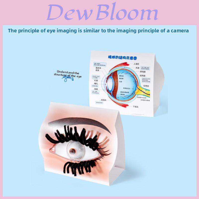 Simulierte Augenstruktur Bausatz Experiment Spielzeug Set Für Kinder