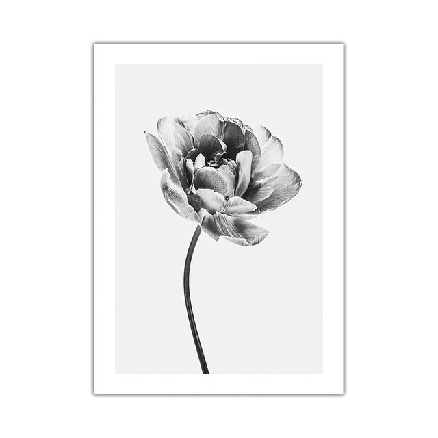 

Настенная живопись на холсте, цветущий пион, черный, белый цвет, скандинавские минималистичные постеры и принты, настенные панно для декора гостиной 21*30cm