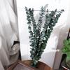 10 Pcs Real Leaves Artificial Plants Flowers 22 Inch Preserved Eucalyptus Stems  Shower