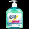 Green Umbrella Antibacterial Hand Wash (Press Pump)