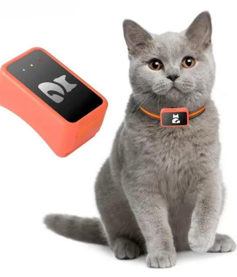4G 2G GPS Pet Tracker Animal Tracker Collar Anti-Lost Real Time Tracking Dog Cat Locator Pet Fashion Neck Collar