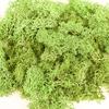 20/40/100g Artificial Green Plants Eternal Life Moss Grass DIY Crafts for Home Garden Room Decoration Mini Landscape Fake Flower