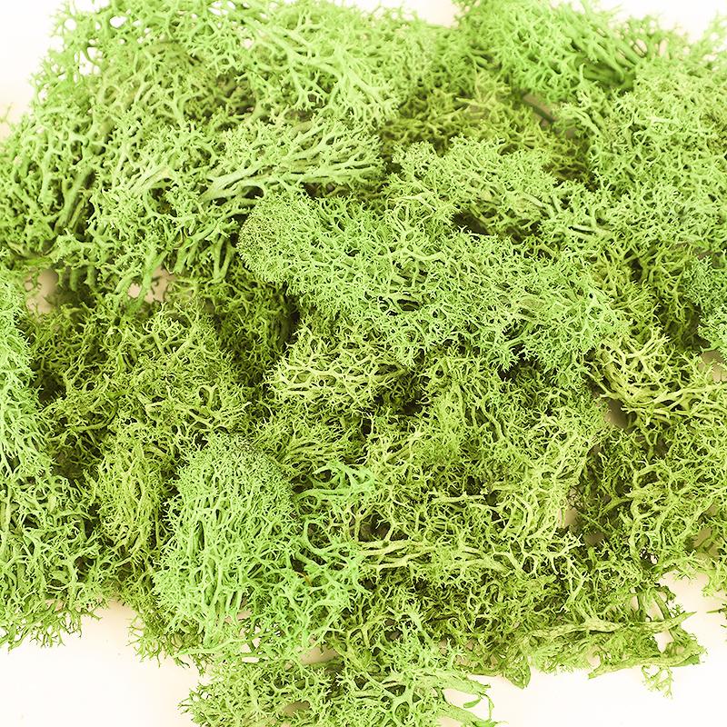 20/40/100g Artificial Green Plants Eternal Life Moss Grass DIY Crafts for Home Garden Room Decoration Mini Landscape Fake Flower