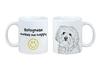 Bichon Bolognese, Bolo, Botoli, Bottolo - Cup with a Dog, Cheerful Cup for a Dog Lover, Personalized Gift from the Brand