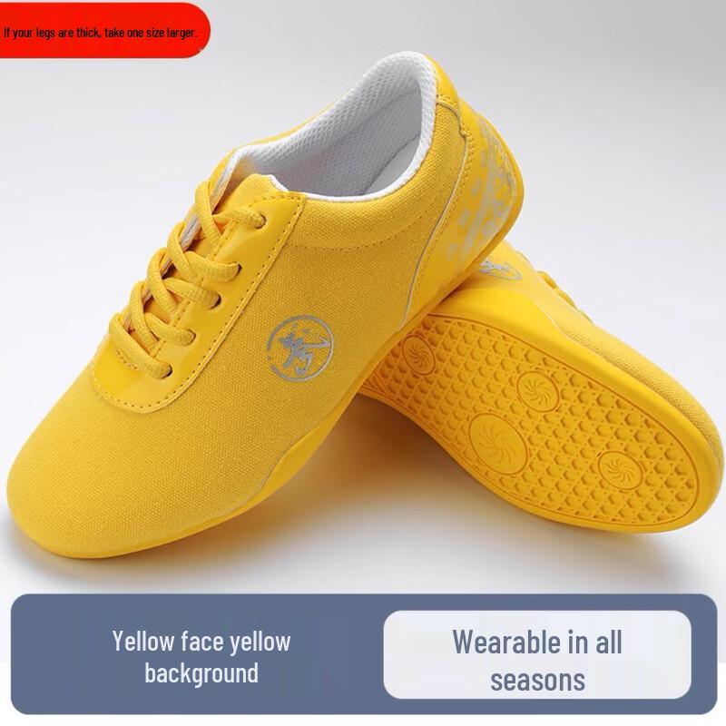 Тренировочная обувь для боевых искусств Тайцзицюань с изображением дракона