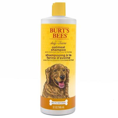 Burt's Bees Dog Oatmeal Shampoo, 946ml, 1 Unit, Korean Pet Shampoo