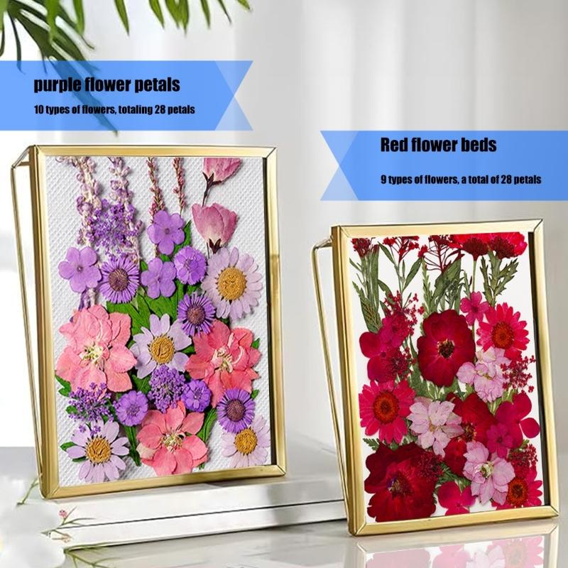 205Pcs Pressed Dried Flower For Resin Natural Dry Flower Leaf with Tweezers Sticker for Art Craft Candle Jewelry Making