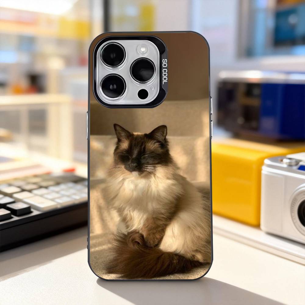 Funny Siamese Cats Cute For iPhone 11,12,13,14,15,16,17,Pro,Max,Plus,E,Air,Mini Phone Case IMD Matte Black