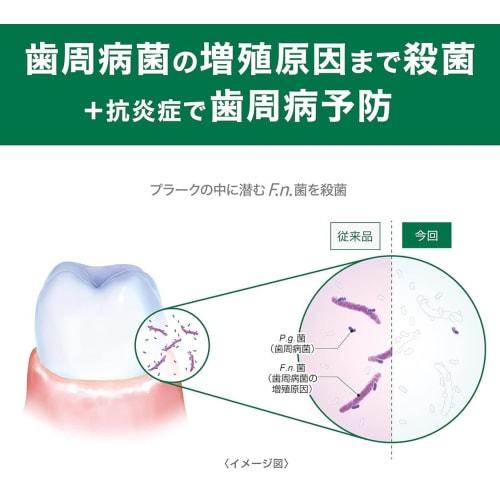 [.co.jp Exclusive] [Bulk Purchase of 2] GUM Plus Dental Paste Medicated Toothpaste, Herb Mint, 120g x 2