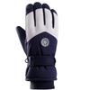 Ailan Huijia WZ Unisex Winter Ski & Snowboard Gloves