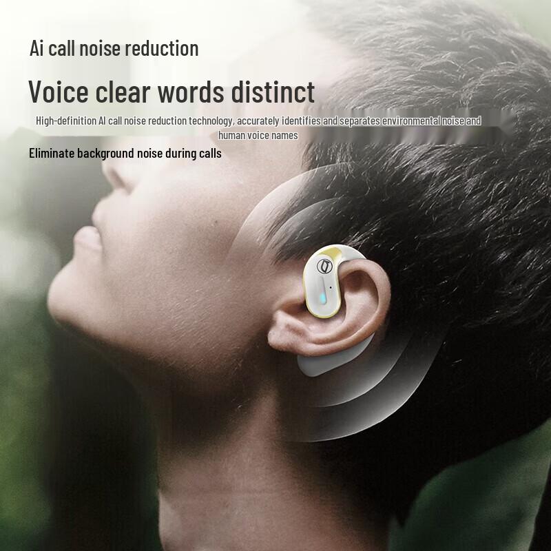 Bach Johann BH-ARC Open-Ear Wireless Sports Headset