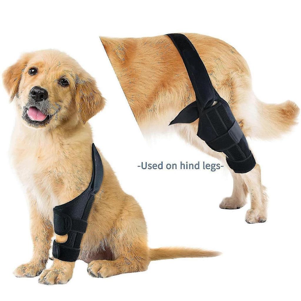 Dog Knee Brace For Torn Acl, Support For Hind Leg And Hip, Reduces Arthritis Pain