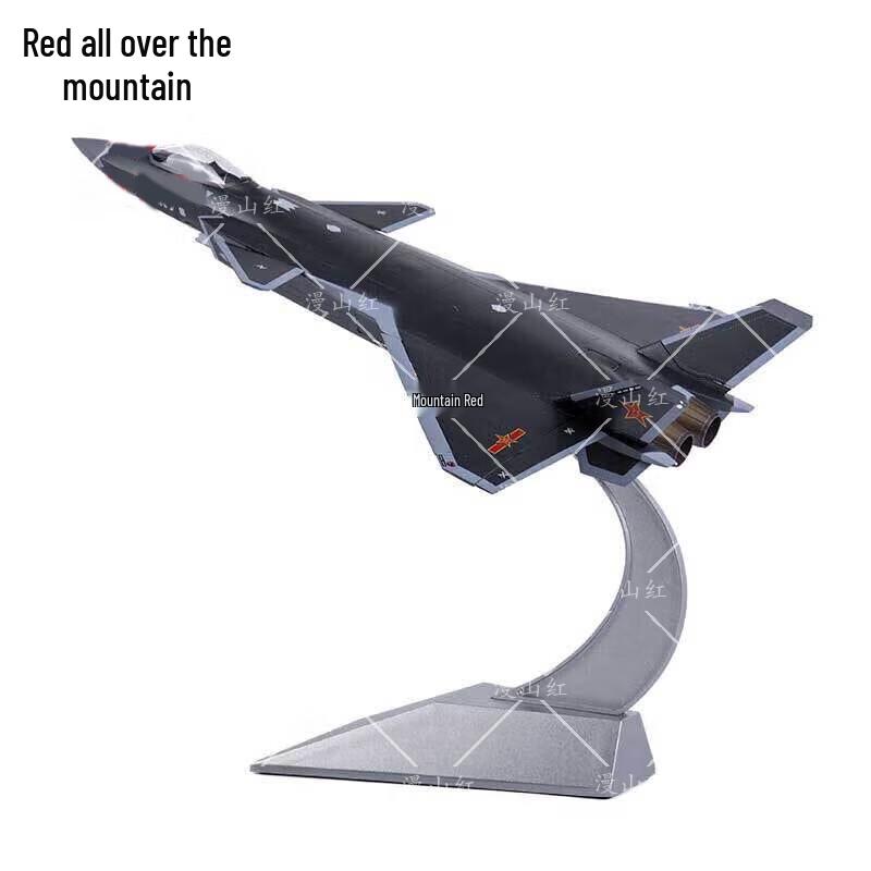 J-20 Fighter Jet Diecast Model (1:48 Scale)