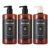 Propolis Shampoo 2 & Treatment 1 Set