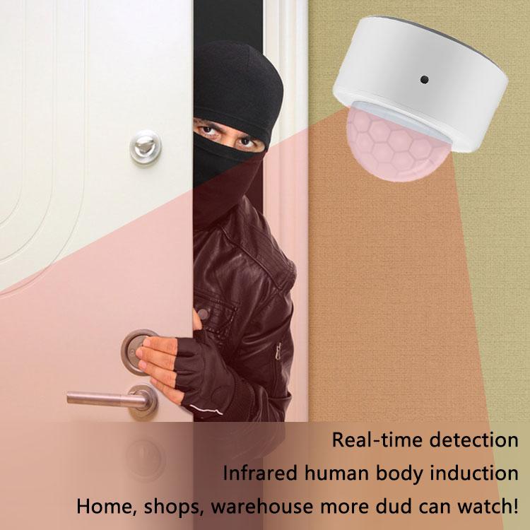 Zigbee Human PIR Motion Sensor Tuya Body Movement Smart PIR Sensor Infrared Detector Home Security Alarm Support Alexa Google