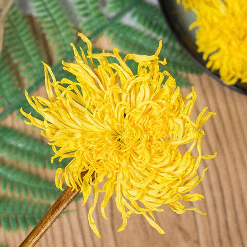 100pcs Kaiser Chrysanthemum Tea Bags Premium Golden Ju Hua Floral Herbal Tea Rich Antioxidants Support Wellness Relaxation Gift for Tea Lovers