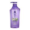 Fenghua Black Tea Oil Control Volumizing Shampoo