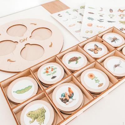 Wooden Montessori Life Cycle Tray Early Learning Toy Educational Matching Game Growth Stage for Kids