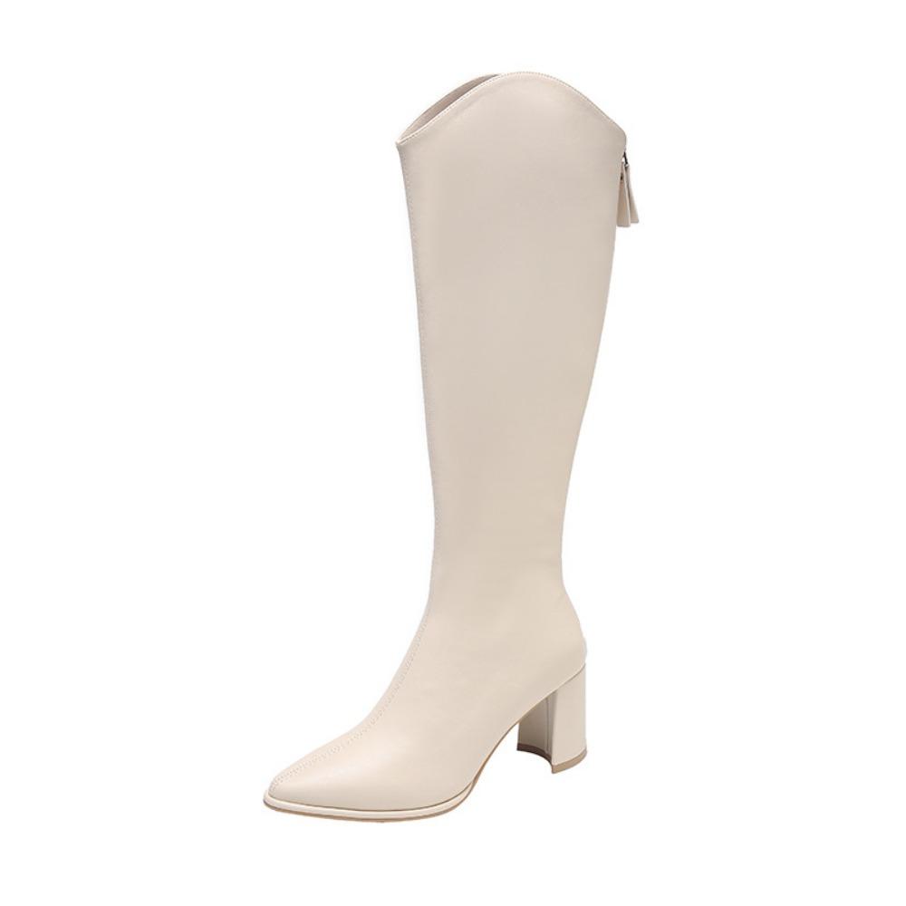 Winter Fluweel Hoge Hakken Hoge Laarzen voor Dames