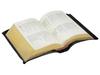 Bible, Joint Translation by the Japanese Bible Society, Leather-bound, Medium, SI59S