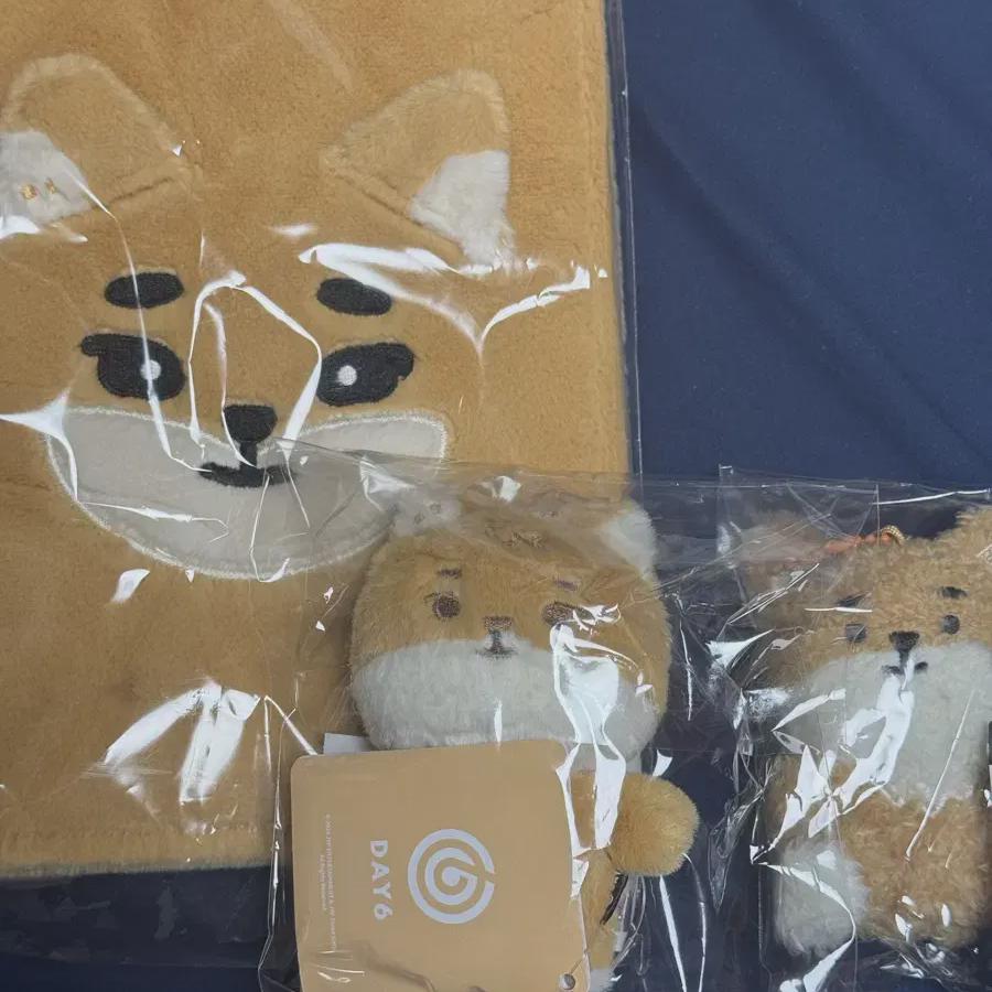 

День6 Деннималс Ке Папка