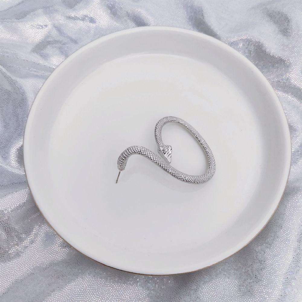 Wind Spirit Snake Wrap Hanging Ear Earrings Personality Versatile Temperament Niche Cold Wind Earrings Women