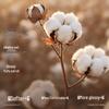Dohia 100% Xinjiang Cotton Quilt - All Seasons