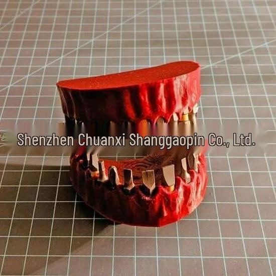 

Креативный держатель для сверл в форме зубного протеза для трансграничного использования красный