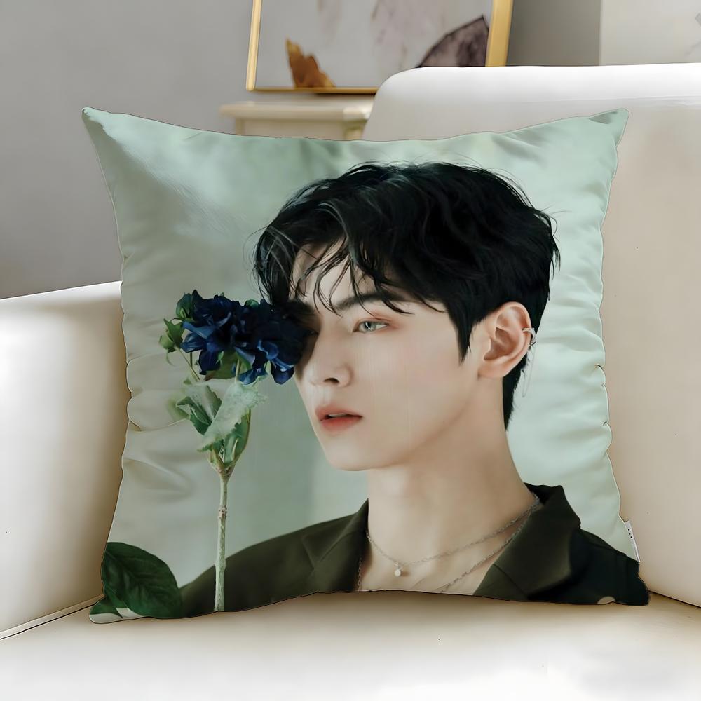 popular actor Cha Eun Woo Cushion Cover Soft  EasyWash Pillow Case  Versatile for Couch Bed Travel and Office