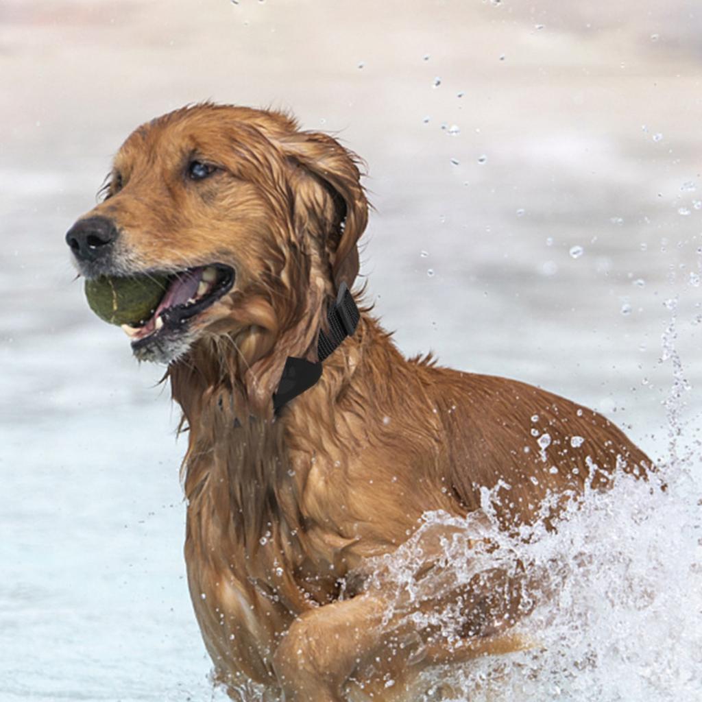 Ersatz für Hundehalsbänder, -verlorenes Halsband Silikonhülle