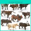 Figurine Realiste din PVC cu Taur Texas Longhorn și Vacă Ankole Watusi Pentru Expoziție