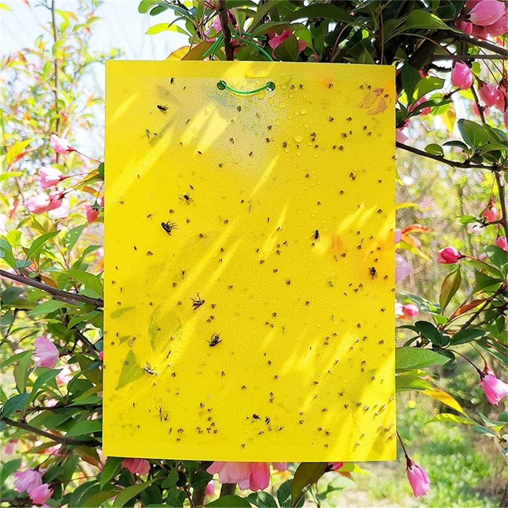 Blue & Yellow Double-Sided Sticky , Garden and Orchard Insect Catcher, Sticky Board, Effective Flying