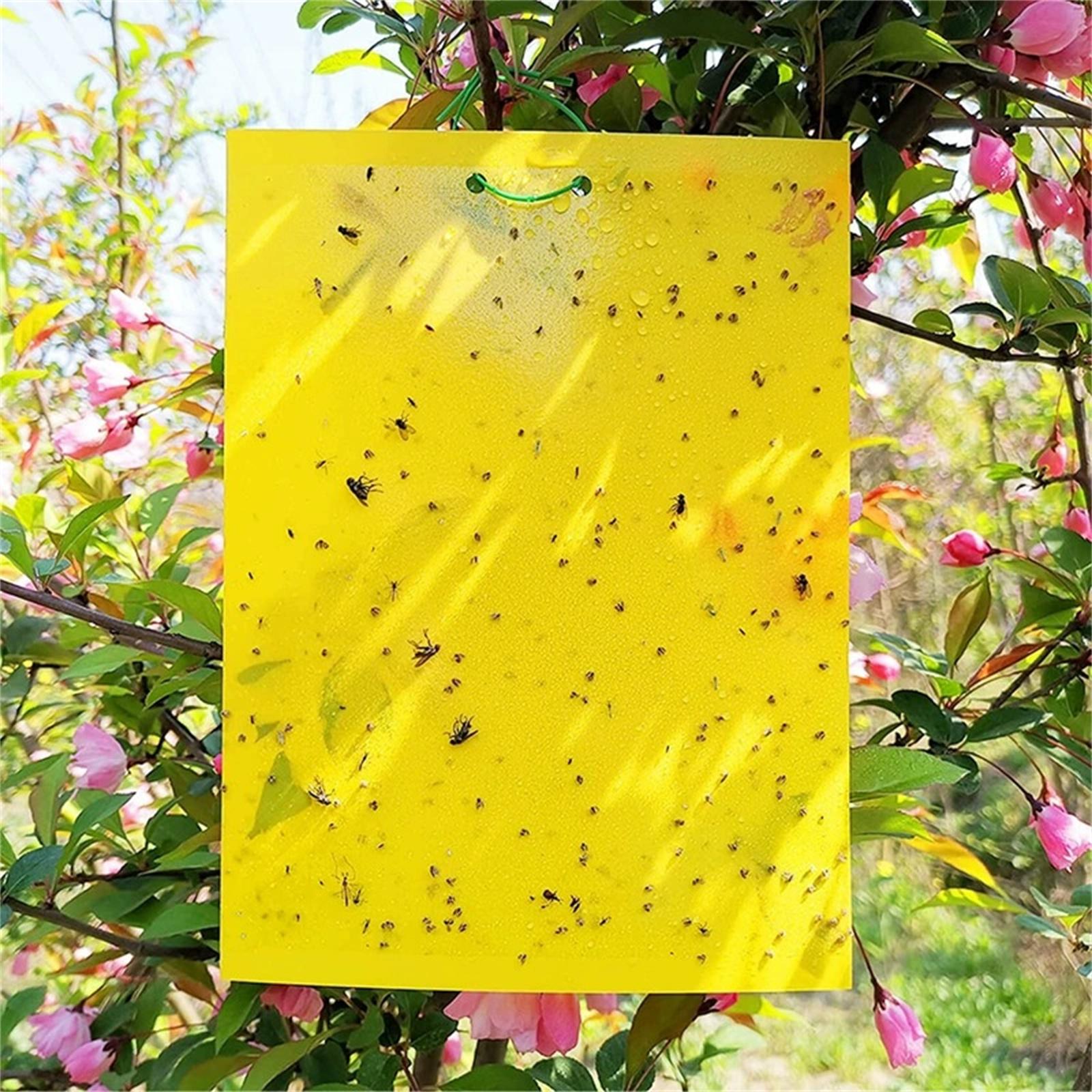 

Blue & Yellow Double-Sided Sticky , Garden and Orchard Insect Catcher, Sticky Board, Effective Flying S жёлтый