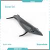 Marine Animal Model Set: Shark, Turtle, Dolphin, Whale, Penguin, Crab, and Seabed Creatures