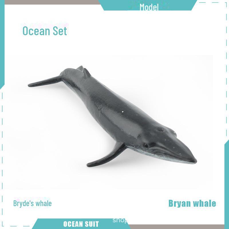 Marine Animal Model Set: Shark, Turtle, Dolphin, Whale, Penguin, Crab, and Seabed Creatures