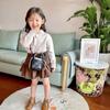 Kawaii Small Crossbody Bag for Women and Girls Designer Tote Shoulder Purse