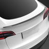 Tesla Model Y/3 Dry Carbon Fiber Tail Wing Sport Kit